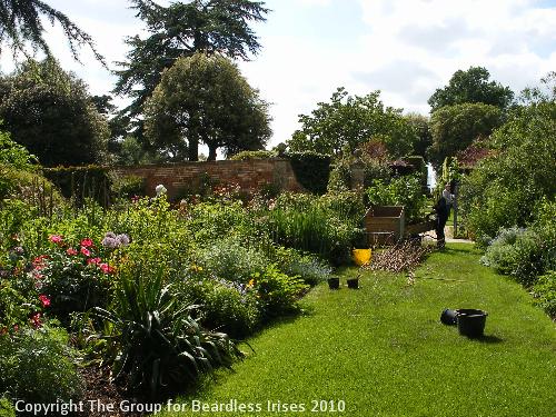 hidcote (04)